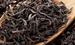 254 Bin Ton Kuru Çay Üretildi