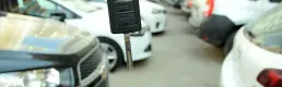 3 ilde sahte eksper şebekesine operasyon