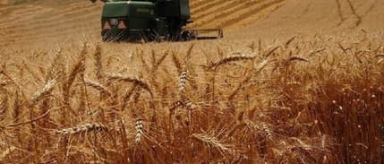 320 milyon liralık hibe paketi üreticiye sunuluyor