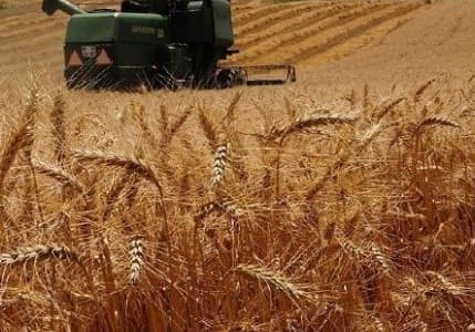 320 milyon liralık hibe paketi üreticiye sunuluyor
