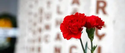 5 soruda yeni düzenleme: Şehit aileleri ve gazilerin haklarında neler değişti?