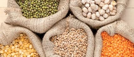 6 Ayda 3 Milyar 224 Milyon Dolarlık Hububat İhracatı Yapıldı