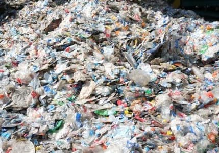 AB, bazı tek kullanımlık plastik ambalajları yasaklıyor