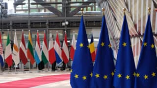 AB’den Alaska zirvesi öncesi çağrı: Avrupa’nın çıkarları korunmalı