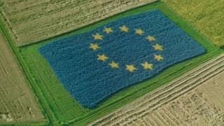 AB'den tarımda bürokratik işlemleri azaltacak yeni adım