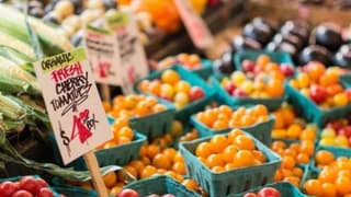 AB, gıda ve enerji fiyatlarının daha da artmasını öngörüyor