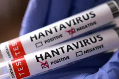 AB, hantavirüse karşı aşı çalışmalarına başladı