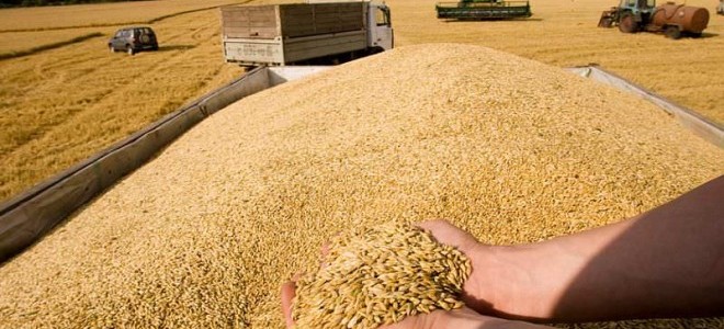 AB, Ukrayna'dan tarım ürünü ithalatına sınır getiriyor