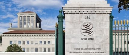 AB ve WTO e-ticaret yaptırımları üzerinde görüşmelere başladı