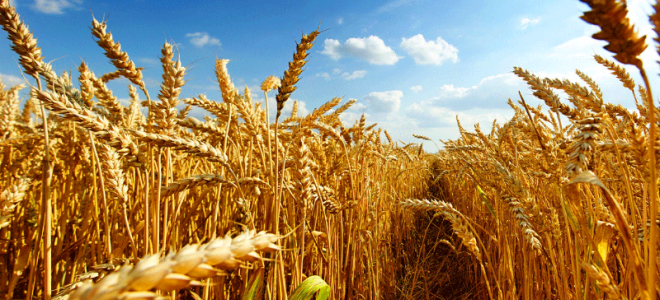 ABD’de Tarım Dışı İstihdam Artışı Yavaşladı