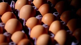 ABD fiyatları düşürmek için Avrupa'da yumurta avına başladı