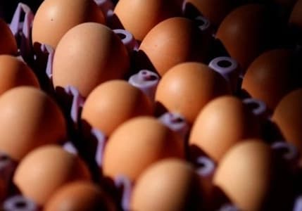 ABD fiyatları düşürmek için Avrupa'da yumurta avına başladı