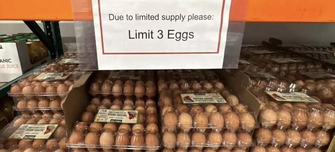 ABD, yumurtadaki fiyat şokunu Türkiye ve Güney Kore ile hafifletiyor