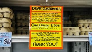 ABD'ye 15 bin ton yumurta ihraç edecek Türkiye'nin iç piyasası etkilenecek mi?