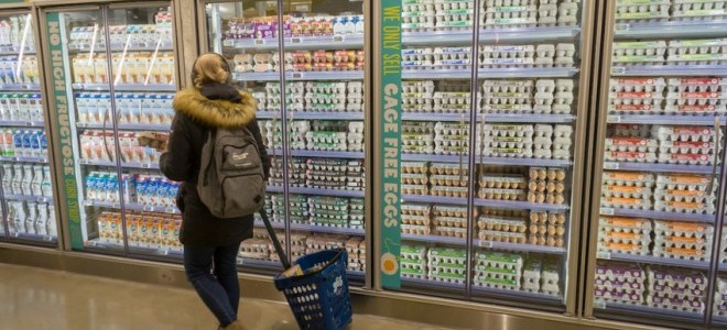 ABD, yumurta krizini Türkiye ile aşmayı deneyecek