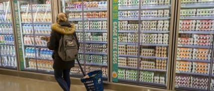 ABD, yumurta krizini Türkiye ile aşmayı deneyecek