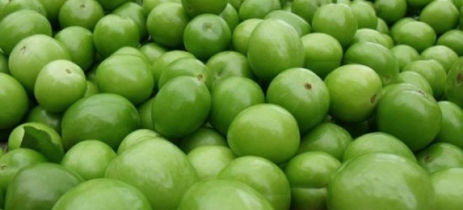 Açıkta Erik Çıktı, Kilosu 25 Liraya Düştü