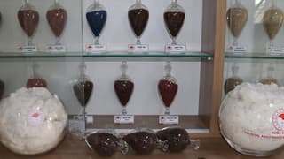 Adana'da adaptasyon yeteneği yüksek yeni pamuk çeşidi geliştirildi