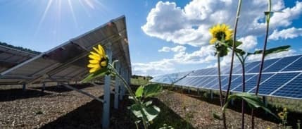 Afrika'nın enerji krizinde güneş enerjisi tartışması