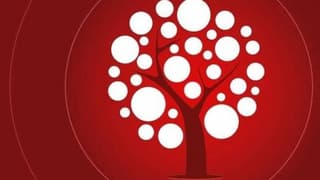 Ak Yatırım Sermayesini 50 Milyon Lira Artıracak