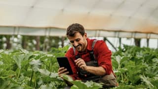 Akbank tarım kredilerini yüzde 55 artırdı