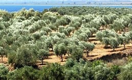 Akdeniz Havzasının Ekonomik Durumu Masaya Yatırıldı