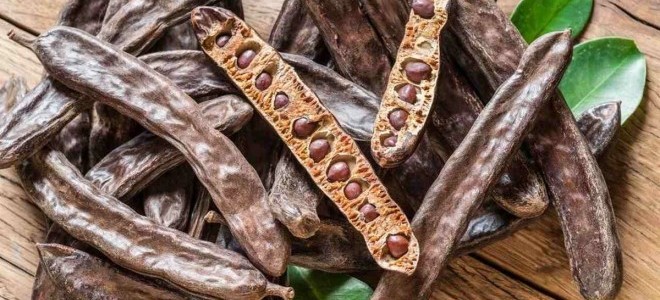 Alanya keçiboynuzu coğrafi işaret tescili aldı