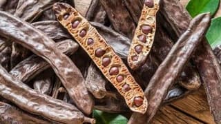 Alanya keçiboynuzu coğrafi işaret tescili aldı