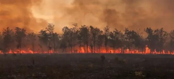 Allianz: Orman yangınlarının maliyeti 10 yılda 6 kat arttı
