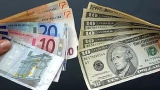 Alman Yeşiller Partisi’nden euroya destek