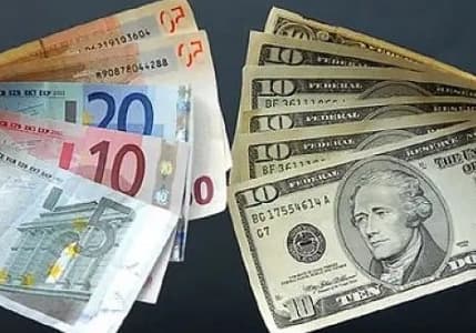 Alman Yeşiller Partisi’nden euroya destek
