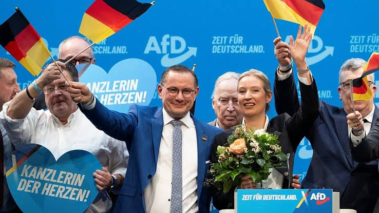 Almanya'da doğu ve batı seçmeni AfD konusunda ayrışıyor