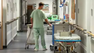 Almanya'da mesleki yeterlilikte Türkler zirvede