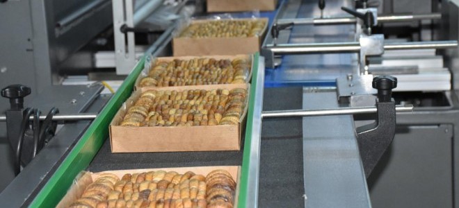 Almanya'ya giden kuru incirler piyasadan toplatıldı