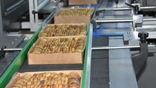 Almanya'ya giden kuru incirler piyasadan toplatıldı