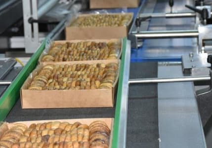 Almanya'ya giden kuru incirler piyasadan toplatıldı