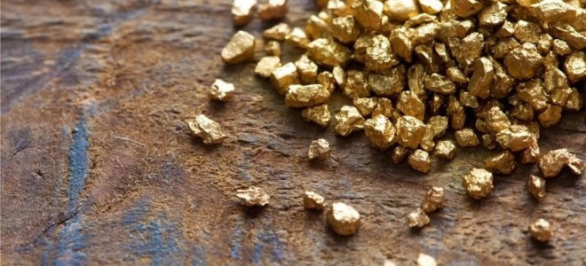 Altın madencileri orman kanununda yapılan değişiklikten mutlu  