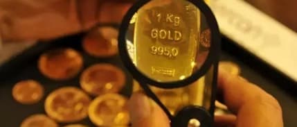 Mahfi Eğilmez altın talebini değerlendirdi