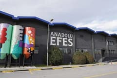 Anadolu Efes, Tariş Üzüm hisselerini alıyor