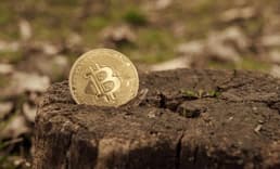 Analistler Bitcoin’in 10 bin dolara düşeceği söylentilerine katılmıyor