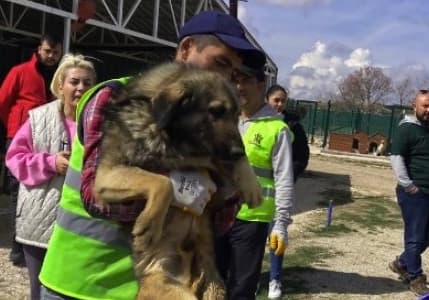 Ankara'da sokak hayvanları derneğine 'haksız kazanç' operasyonu düzenlendi!
