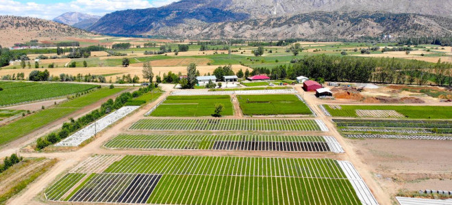 Ankara ve Eskişehir'deki bazı arazilerde toplulaştırma yapılacak