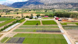 Ankara ve Eskişehir'deki bazı arazilerde toplulaştırma yapılacak