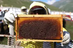 Anzer Balı'nın yeni sezon satış fiyatı belli oldu