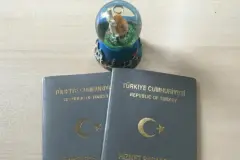 AP'den Türkiye'ye gri pasaport uyarısı