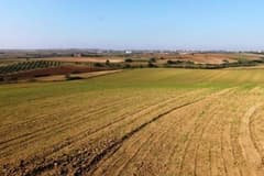 Arazi talebi 2026 yılına düşüşle başladı