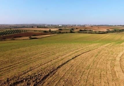 Arsa ve araziler 2024'te yatırım liginden çekildi