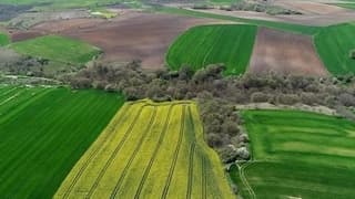 Arsa ve tarlalara ilgi arttı: Yatırımda en çok talep gören yerler