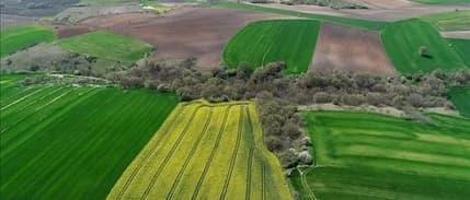 Arsa ve tarlalara ilgi arttı: Yatırımda en çok talep gören yerler