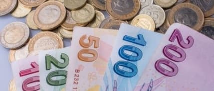 Asgari ücret belli oldu, diğer ülkelerin asgari ücretleri ne kadar?